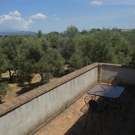 Tenuta Roccaccia Farma *