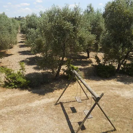 Farma Tenuta Roccaccia