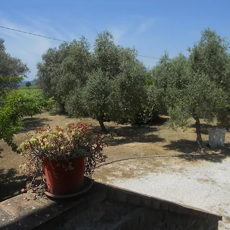 Tenuta Roccaccia Pitigliano